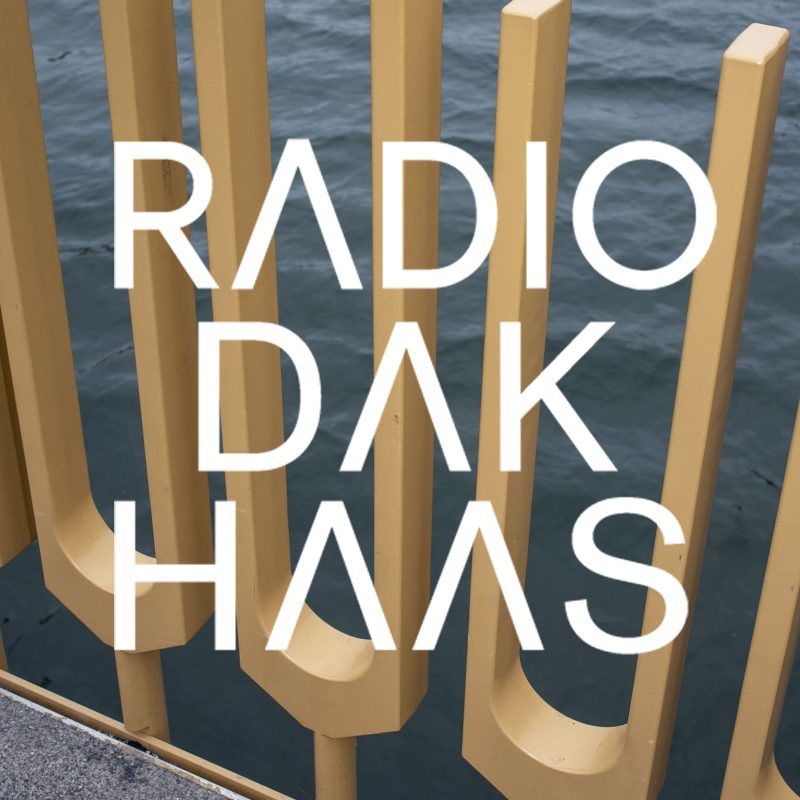 Podcast artwork De Dakhaas